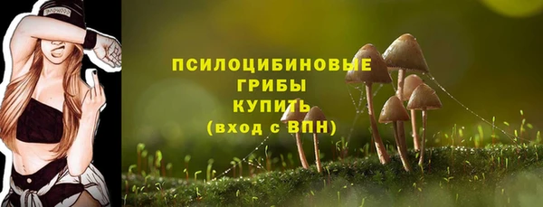 спайс Алексеевка