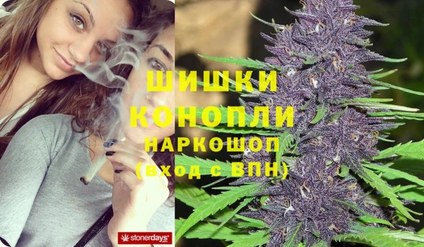 спайс Алексеевка
